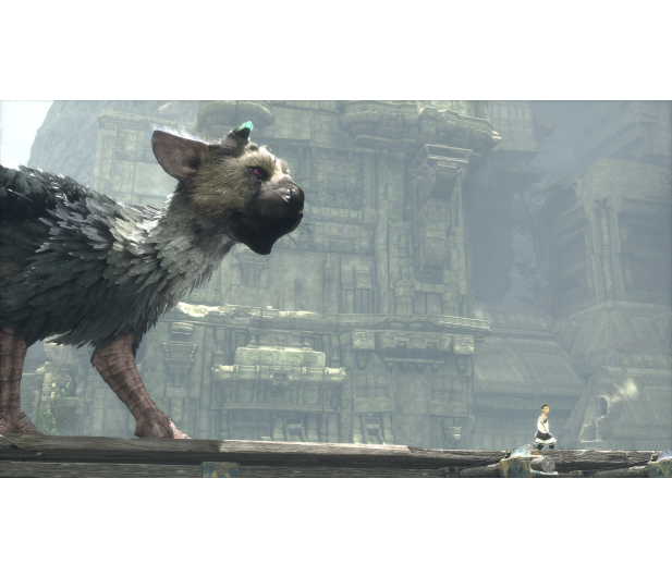 Sony The Last Guardian - 339120 - zdjęcie 5
